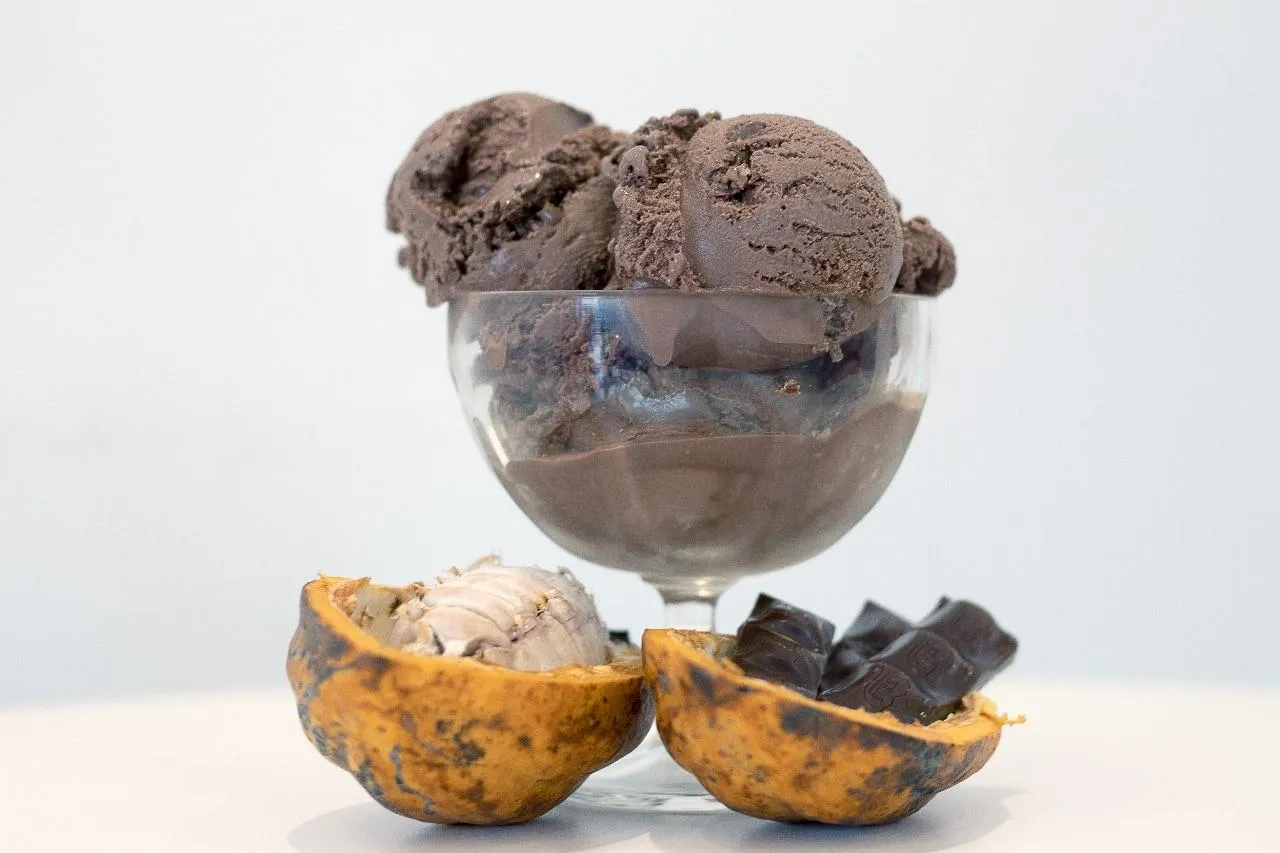 Zero Chocolate com Avelã