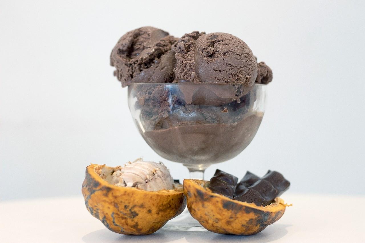 Zero Chocolate com avelã